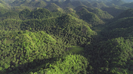 Asia green hills rainforest aerial view with lush greenery plants at mountain ranges. Amazing Philippines landmark at rural lands. Filipino nobody nature scenery in mist at summer day. Drone shotの写真素材