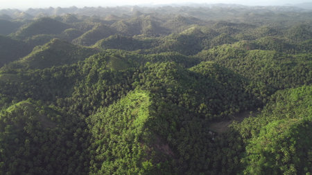 Sunny jungle hills aerial: Philippines landmark at Legazpi town, Mayon Mount, Asia. Wonderful Asian landscape with lush green trees and grass on mountain ranges. Cinematic soft light drone shotの写真素材