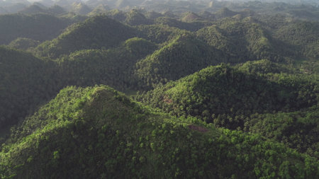 Timelapse Philippines landscape aerial: mist hills view at sunny day. Majestic nobody nature scape with mount and valley in abudant green plants, grasses, trees. Soft light hyperlapse drone shotの写真素材