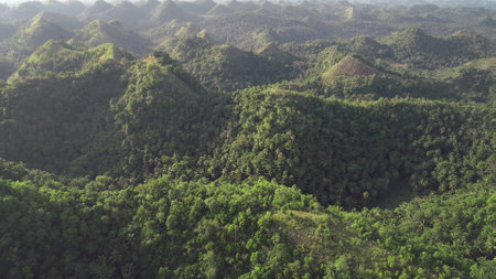Philippines green hills aerial: fog haze over mountain top. Tropical Asia nature at lush greenery plants. High palm trees of rainforest in misty weather at summer day. Cinematic soft light drone shotの写真素材