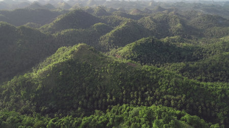 Aerial Asia misty rainforest hills. Green trees, grass at mounts ranges. Foggy landscape of Legazpi, Philippines. Amazing nobody nature scenery at sunny summer day. Cinematic drone shotの写真素材