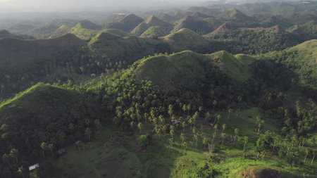 Aerial sunny green hills: Philippines attraction at misty summer day. Tropical nobody nature landscape with wide greenery trees, grass. Rural tropic Asia lands with jungle mounts. Cinematic soft lightの写真素材