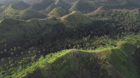 Tropical green mount aerial: rainforest greenery on ranges at Legazpi, Philippines, Asia. Epic Filipino nature scenery of exotic plants on hills and meadows at summer sunny day. Cinematic drone shotの写真素材
