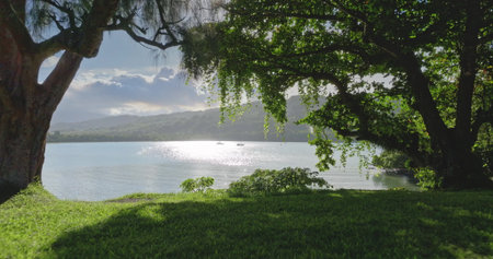Fiji, Tana Island: Sunlight reflecting on the calm water of Port Resolution bay in Tana Island, Fiji, seen from a grassy shore framed by lush vegetation with two boats sailing. Drone flightの写真素材