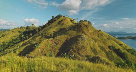 Scenic landscape showcasing vibrant green hills dotted with palm trees, overlooking a serene ocean with distant islands under a bright blue sky with fluffy white cloudsの写真素材