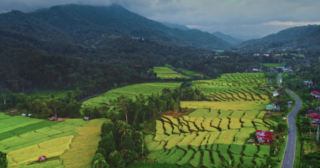 Stunning aerial view vibrant rice paddies in a picturesque valley, flowing through lush forests and rolling hills, highlighting the beauty of Indonesias agricultural landscapes. Asia rural natureの写真素材