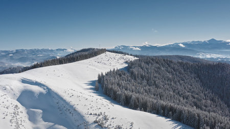 Breathtaking aerial view of a snow covered mountain range with dense coniferous forest, serene and picturesque winter landscape under a clear blue sunny sky. Winter wild nature travel backgroundの写真素材
