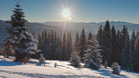 Aerial view capturing a bright sun shine over snowy forest and majestic mountains during winter, creating breathtaking and serene landscape filled tranquility. Winter wild nature travel backgroundの写真素材