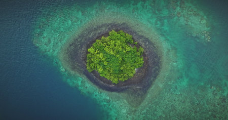 Lush green vegetation covers small tropical island and vibrant coral reef in crystal clear turquoise ocean water, creating a breathtaking aerial view. Amazing nature travel background. Zoom out flightの写真素材
