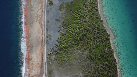French Polynesia, Rangiroa island: Aerial view coastal area where sandy shores meet rich green vegetation. Waves crash on the beach while clear turquoise waters reflect the sun.. Drone flightの写真素材