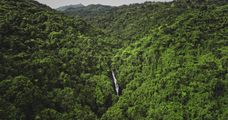 Fiji, Nadi Waterfall: Aerial view hidden waterfall flowing through a lush green rainforest, creating a breathtaking natural spectacle. Wild landscape, nature background. Drone flight zoom inの写真素材