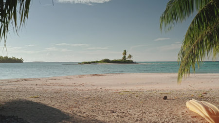 Palm trees framing a beautiful pink sand beach overlooking a small island with palm trees in French Polynesia, with a kayak on the sand, offering a serene and idyllic tropical landscapeの写真素材