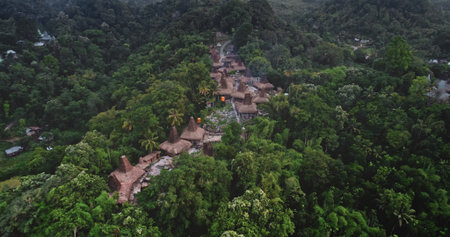 Aerial view capturing a traditional village with typical houses nestled among the lush tropical...