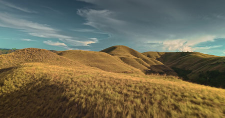Low aerial drone flying over golden hills and meadows in Sumba Island, Indonesia, under a cloudy sky...