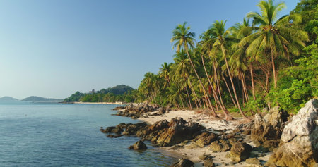 White sand beach featuring rocks and leaning palm trees, embracing the turquoise sea of Koh Samui, Thailand, under a bright sun and a clear blue sky, creating a serene tropical paradiseの写真素材