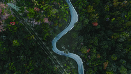 Aerial drone view of a winding road making its way through a dense, lush green forest, showcasing...