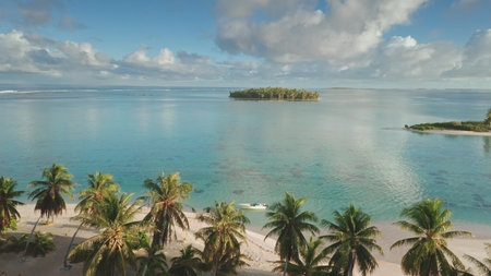 Aerial view turquoise lagoon and tropical island with palm trees and white sand beach in Tikehau,...