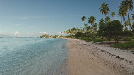 Palm trees along shoreline white sand beach and turquoise waters of the pacific ocean, a tropical...