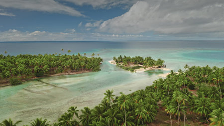 A breathtaking view captures a tropical islands shoreline, surrounded by turquoise waters and vibrant green palm trees. The peaceful atmosphere highlights natures beauty at a serene location.の写真素材