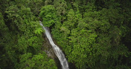 Fiji, Nadi Waterfall: Breathtaking aerial view of stunning waterfall flowing through the lush green...