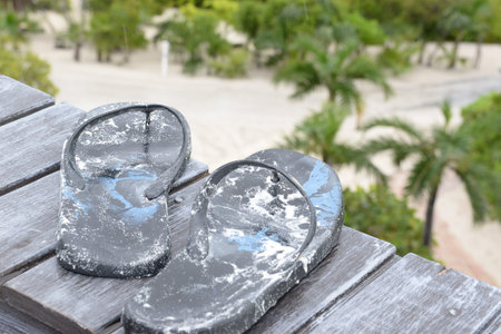Beach flip flops wit beach backdrop