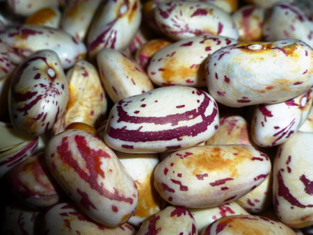 close up pile of dried kidney bean seeds 