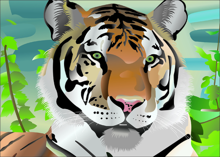 Tiger portraitのイラスト素材