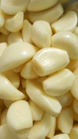 Peeled garlicの素材