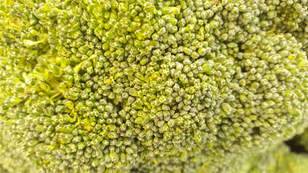 Closeup image of the surface of broccoli, a vegetable gardenの写真素材
