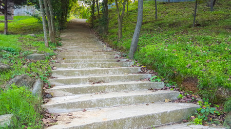 Stairs in the Botanical Garden of Istanbul.