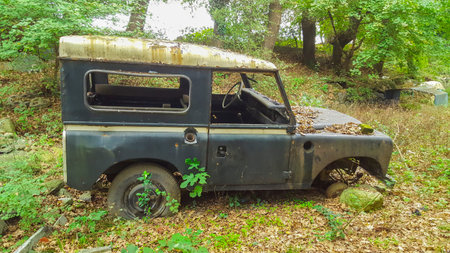 Closeup of an old jeep abandoned in forest. 18 October, 2015.