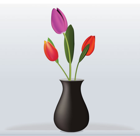 Vase tulip interior のイラスト素材
