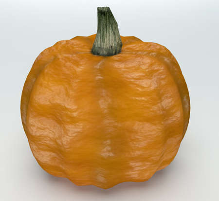 Pumkin on white backgroundの写真素材
