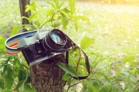 Vintage film camera on stump and sunlightのeditorial素材