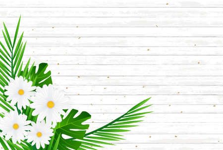 Creative natural layout tropical flowers and green leaves on background texture.Nature concept .Vector illustrationのイラスト素材