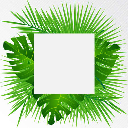 Creative layout tropical flowers and green leaves with paper card  Nature concept. Vector illustrationのイラスト素材