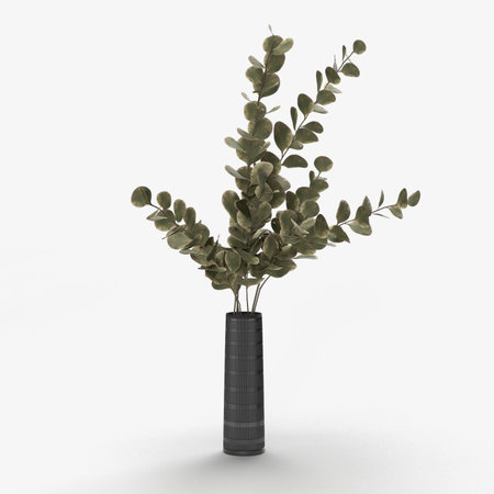 Stylish modern dried flower arrangement in cylindrical vase as home decoration. 3D Renderingの写真素材