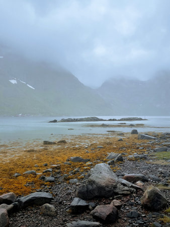 Landscape of the Norwegian fjord in the rainy weather.の写真素材