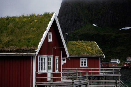 Traditional red wooden house in Lofoten islands, Norway.の写真素材