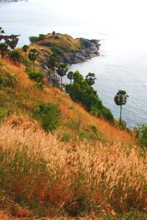 cape の写真素材