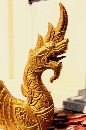 Dragonの写真素材