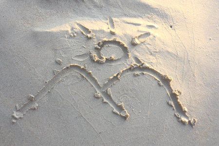 trails on beach の写真素材