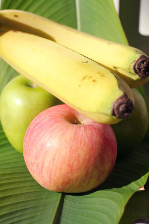 green red appleの写真素材