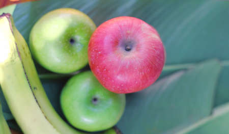 green red appleの写真素材