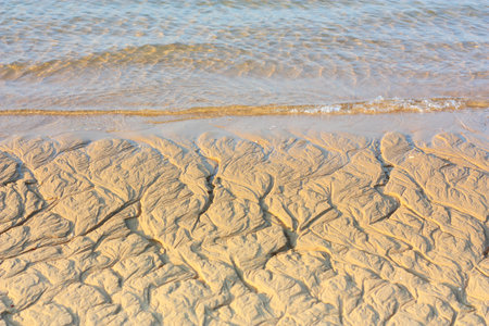 Clear  beachの写真素材