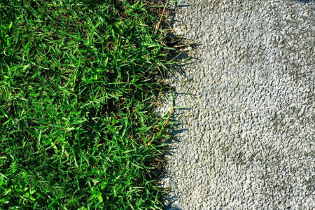 golf fieldの写真素材