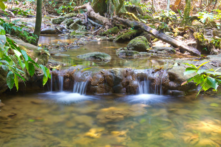 Sra Nang Manora Phangnga Nation forest waterfall park