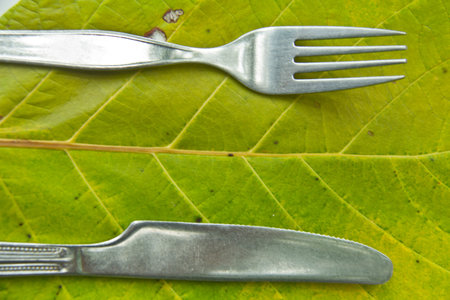 green foodの写真素材