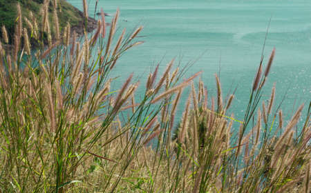 phuket scenicの写真素材