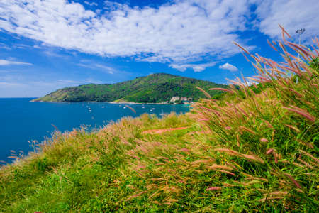 Summer time in Asia Thailand Beach blue sky,PHUKETの写真素材